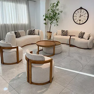 Curved sofa set Pune