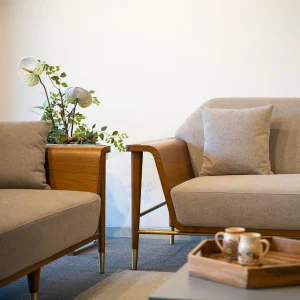 Modern accent sofa Pune
