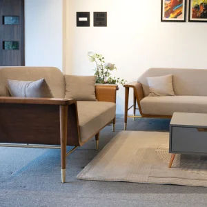 Modern sofa seating Pune