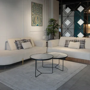 Modern sofa set Pune